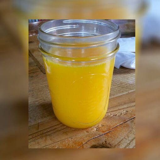 Freshly Squeezed Orange Juice